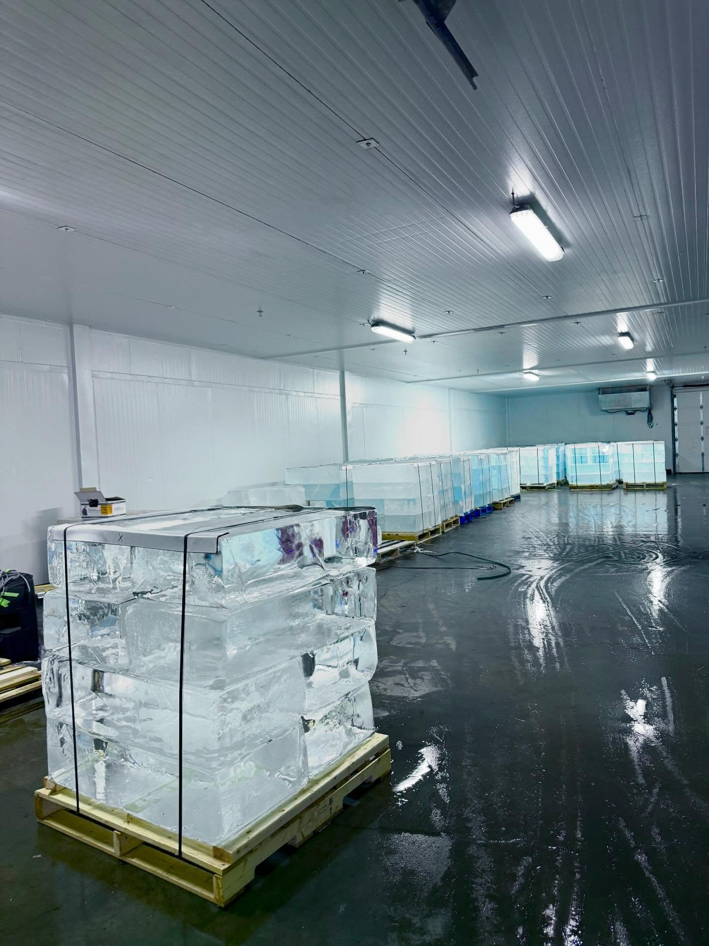 Drake Iceman ice structure at 81 Bond Street